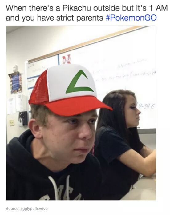 noooooo - meme