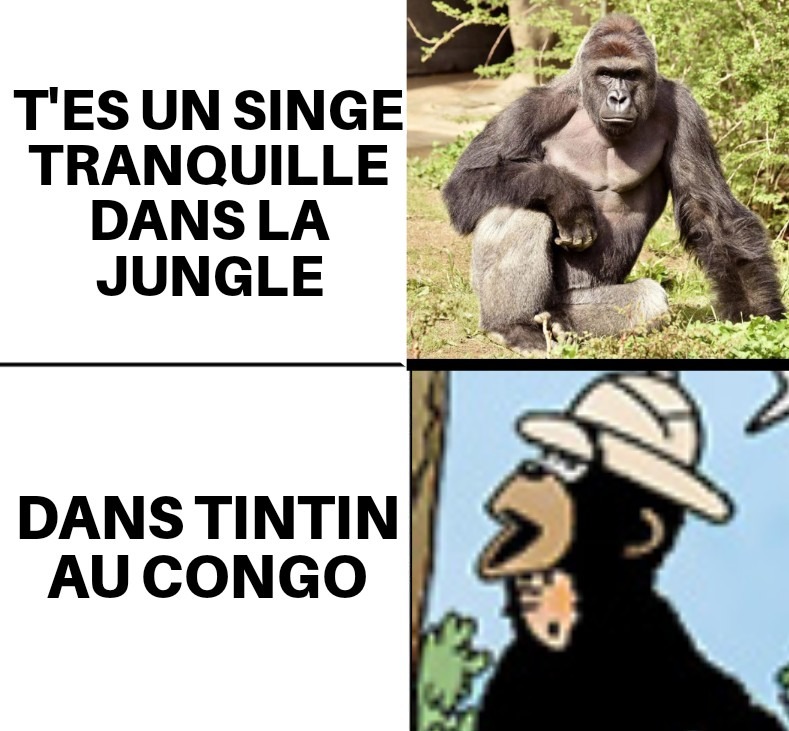 Oh Mon Dieu ! Milou !! Je suis sur que olein d'entrz Vous connaissent le template de base alors pas de blague raciste svp - meme