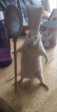 Ratatoui - meme
