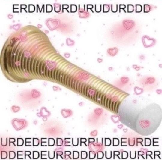 I love door penis thing - meme