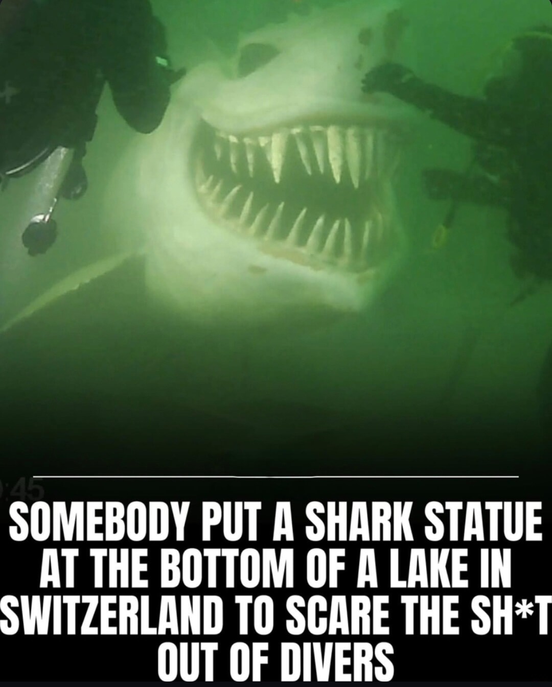 Someone put a shark statue in a lake and I need therapy - meme