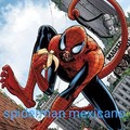 Spiderman mexicano