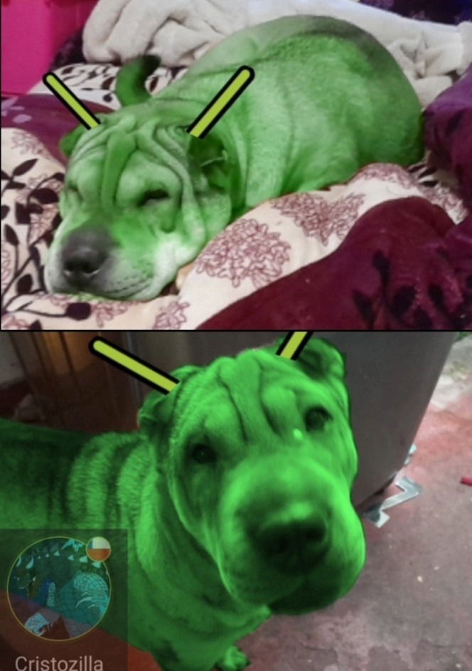 Mascotadroid reveal (edite fotos de mi perro :Grin:) - meme
