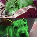 Mascotadroid reveal (edite fotos de mi perro :Grin:)