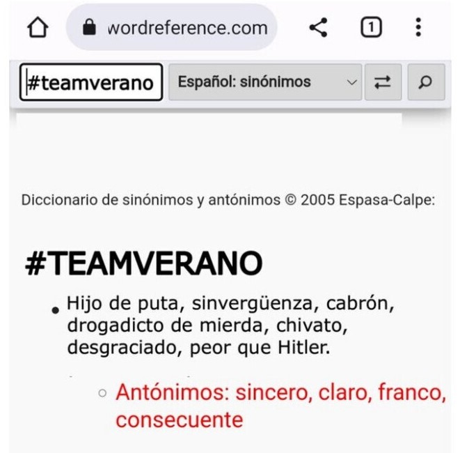 Team Verano - meme