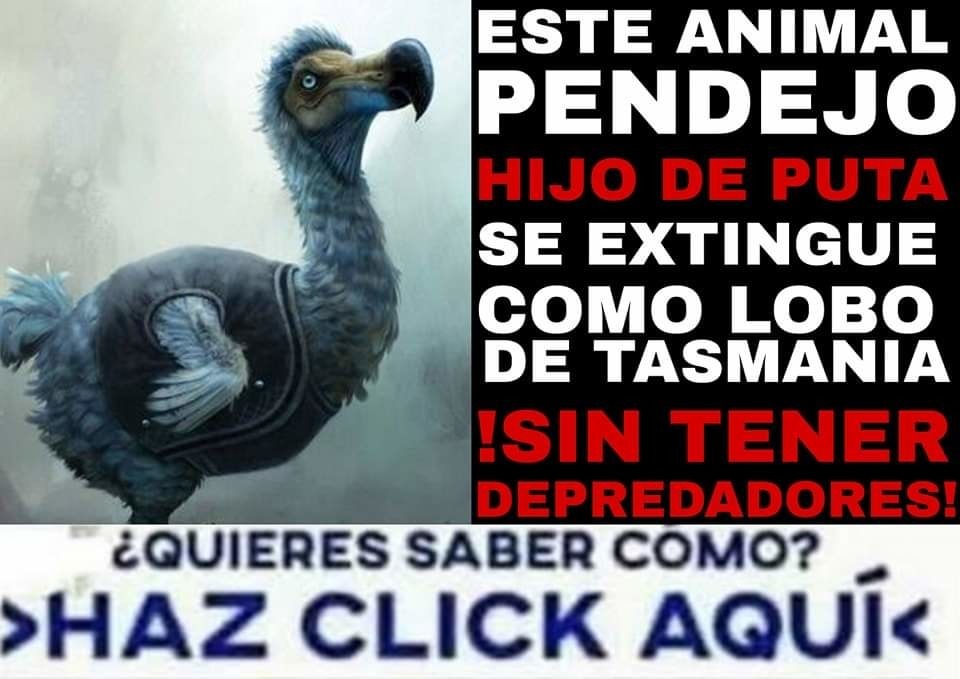 Es desextingir este animal? - meme