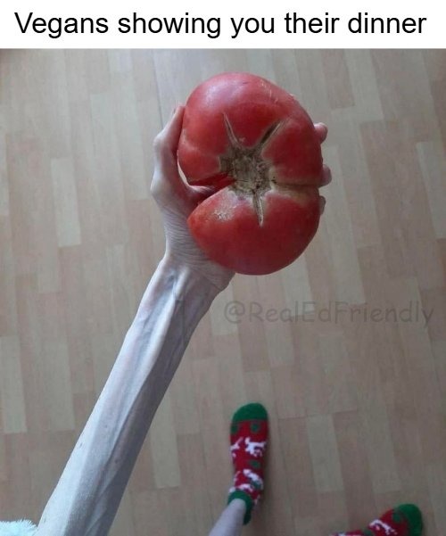wiping boogers on vegans - meme