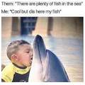 I like fish ( ͡° ͜ʖ ͡°)