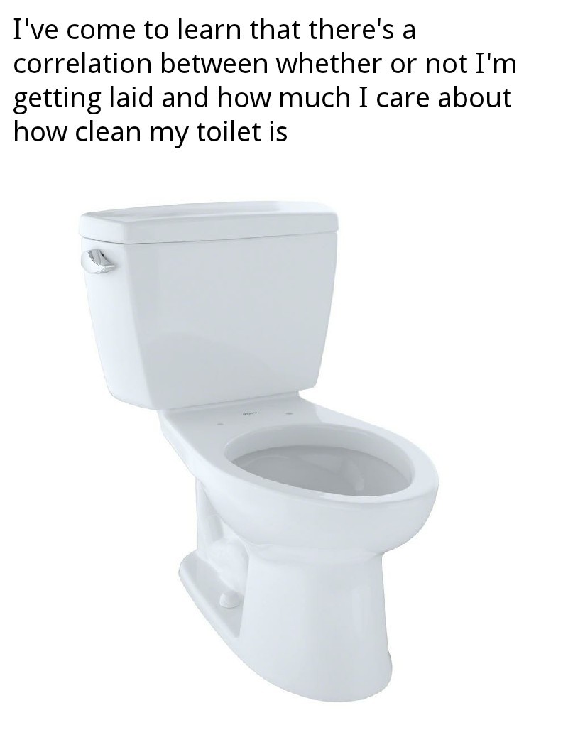 Bitches love clean toilets - meme