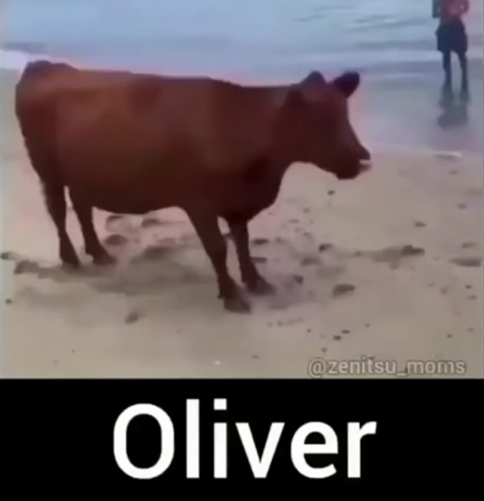 Oliver - meme