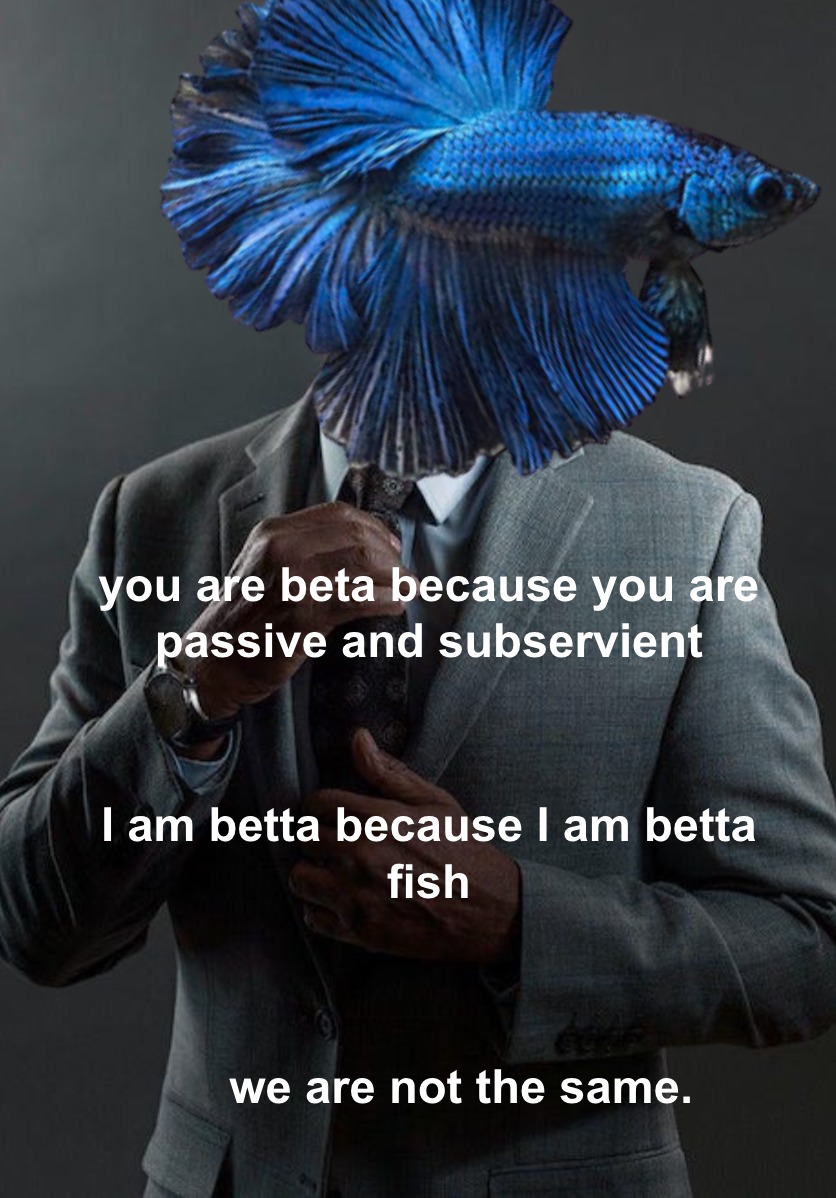 beta - meme