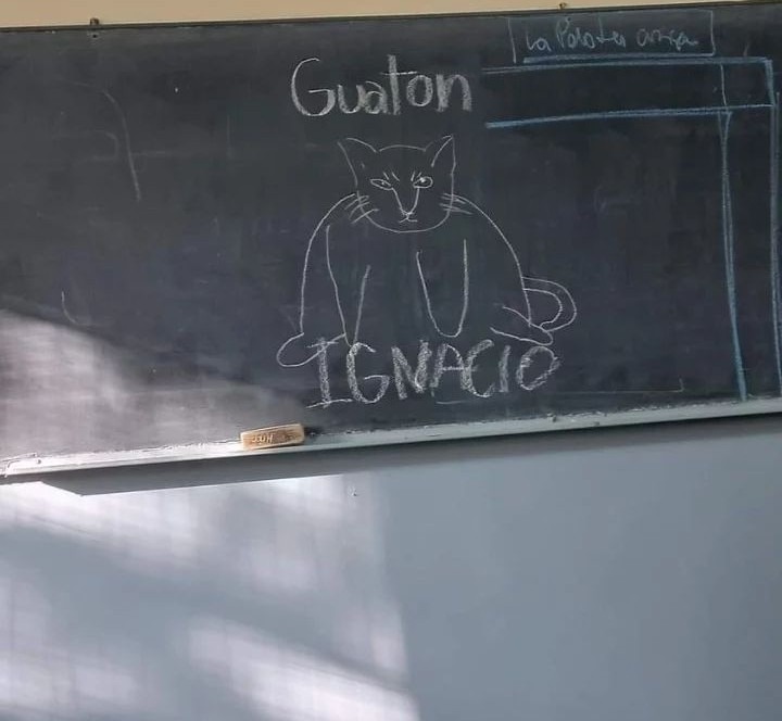 Guaton ignacio - meme