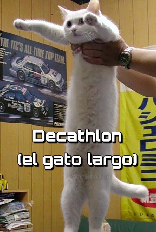 decathlon (el gato largo) - meme