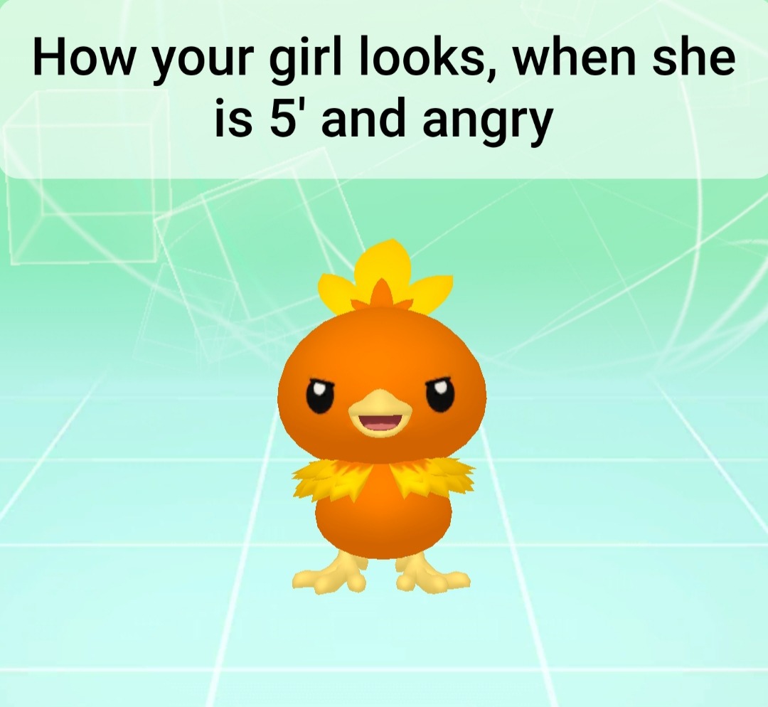 What app/programm do you use for creating memes?