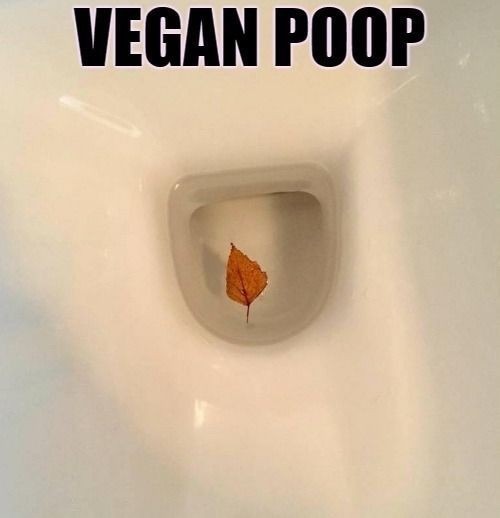 Vegan pop - meme