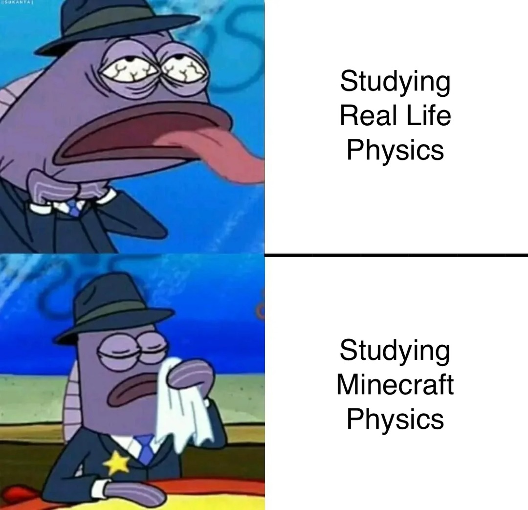 Minecraft Physics - meme