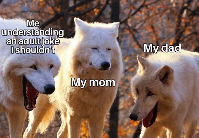 Adult dad jokes - meme