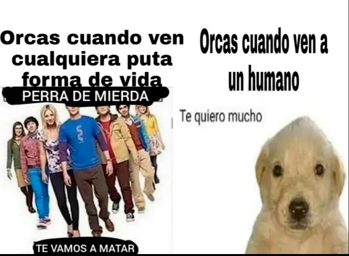 Malardo autor - meme