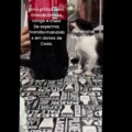 commented item thumbnail