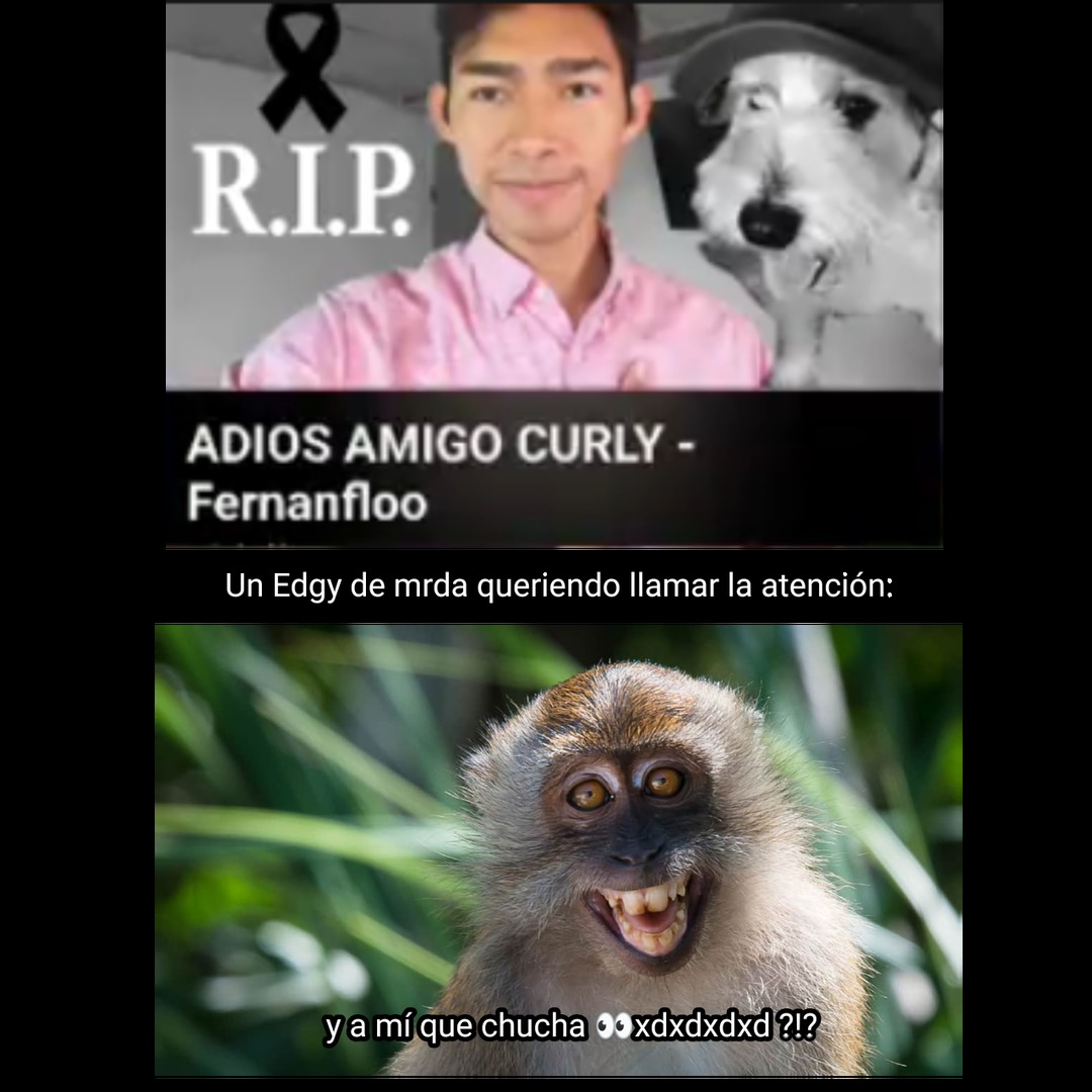 Eviten que los edgays arruinen el momento de tristeza :okay: - meme