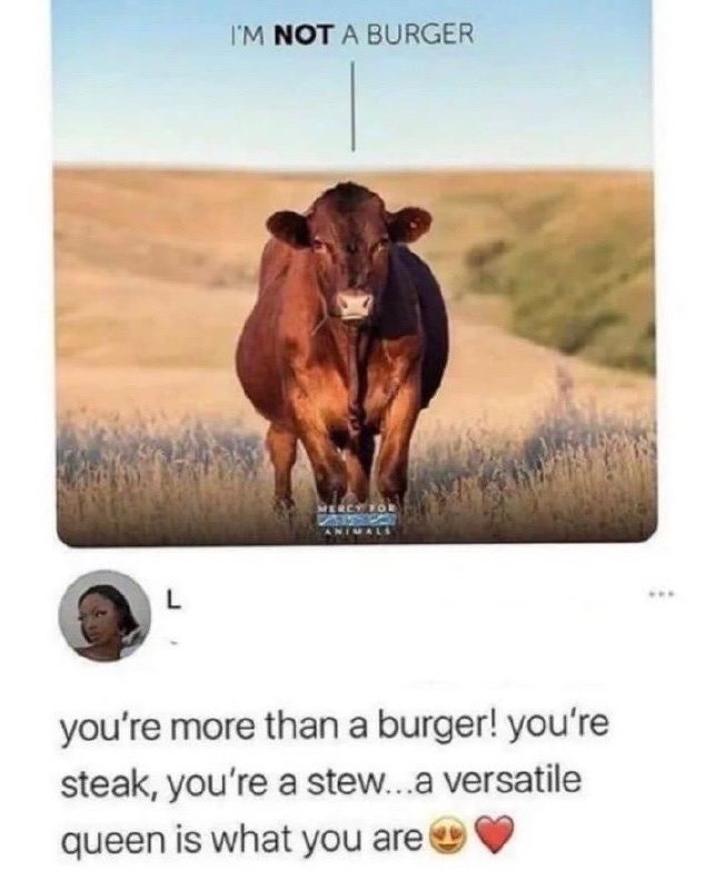 ﻿IM NOT A BURGER ‘re more than a burger! you’re steak, you’re a stew . a versatile queen is what you are you’