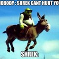 Shrek and donkey