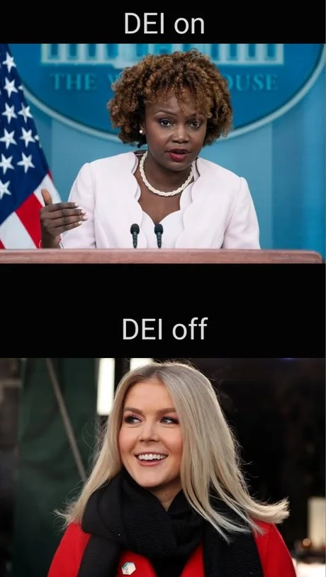 Karoline Leavitt meme