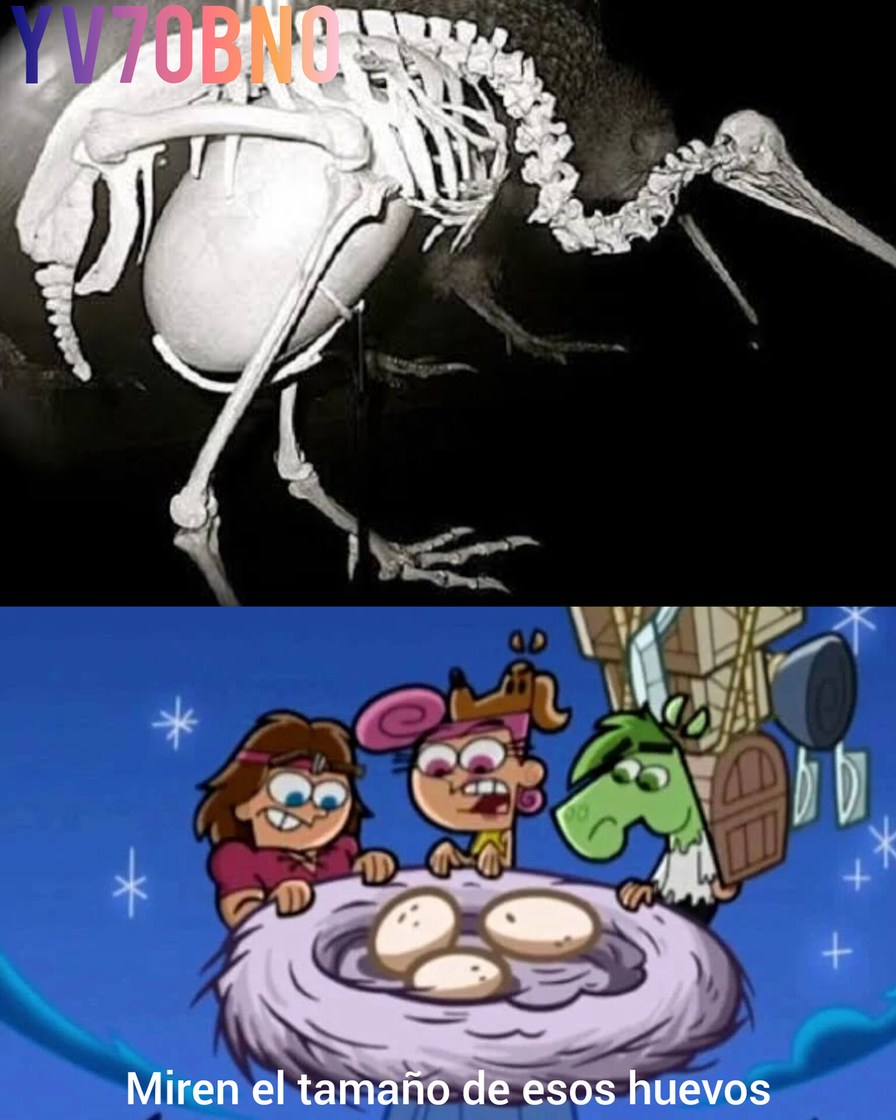 Miren el tamaño comparado - meme