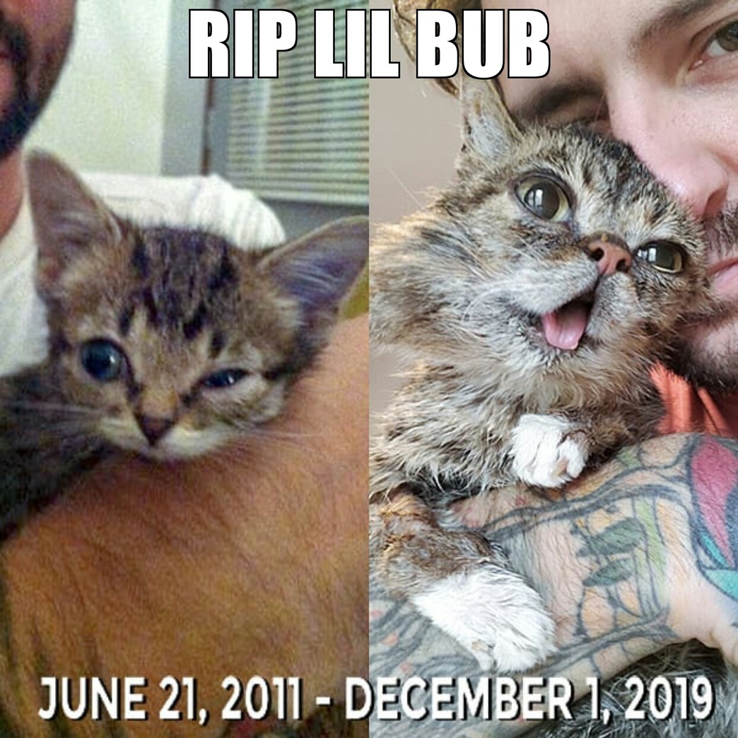Goodbye, Bub. Good Job. - meme