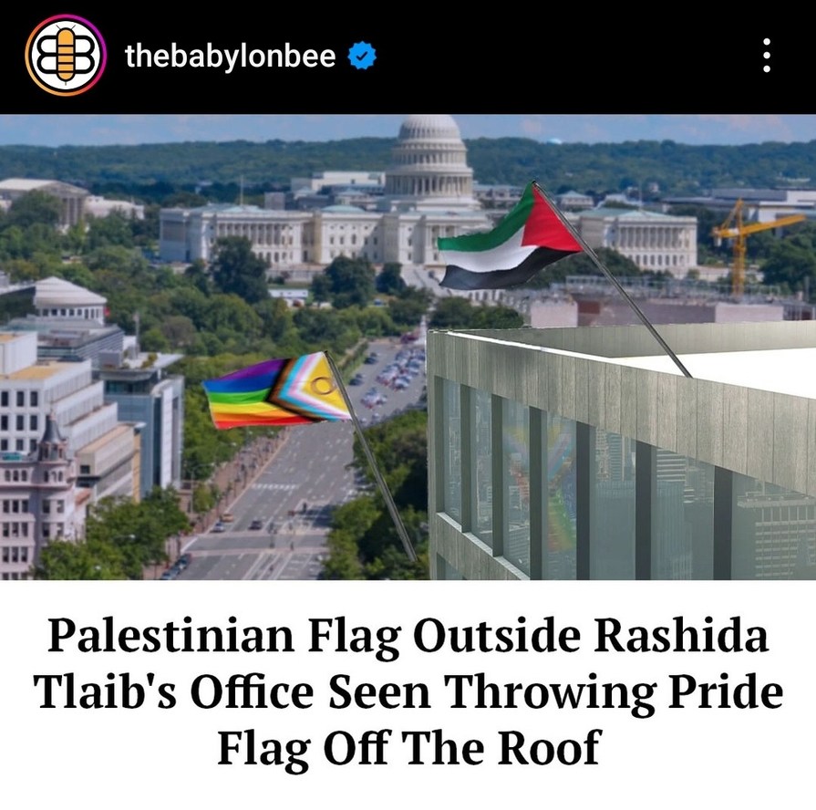 I don't know if you can get more ironic than LGBT support for Palestine. - meme