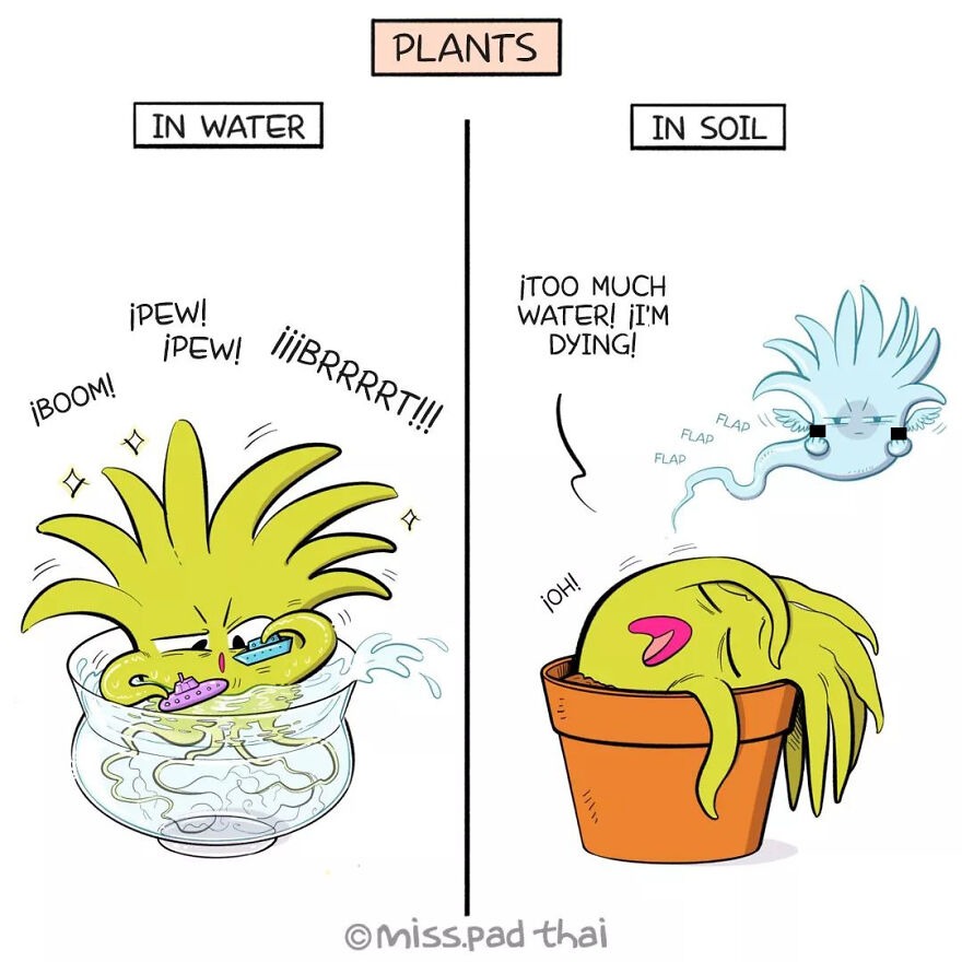 Well-meaning plant killer - meme