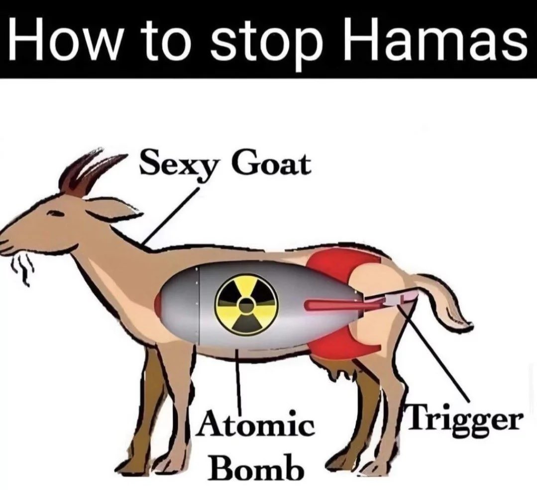 Como detener a Hamas - meme