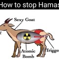 Como detener a Hamas