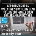 Police officer dressed as teddy bear on Valentine's day to arrest female drug dealer