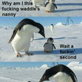 Damn penguins