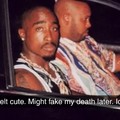 If pac had ig