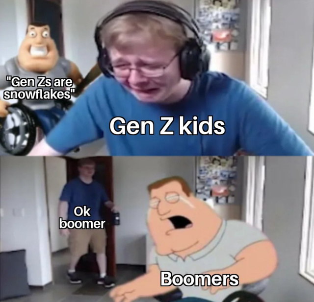 boomers be like - meme
