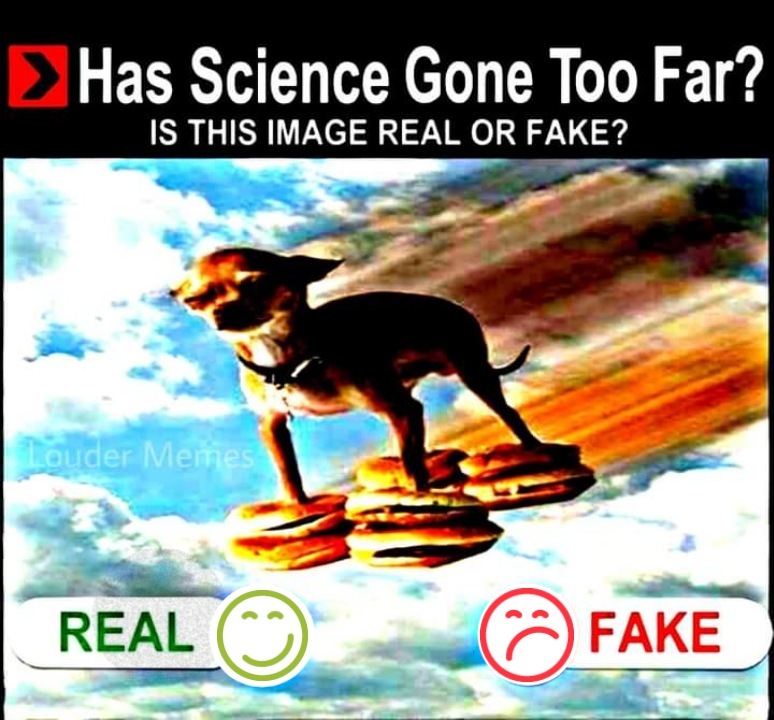 real or fake - meme