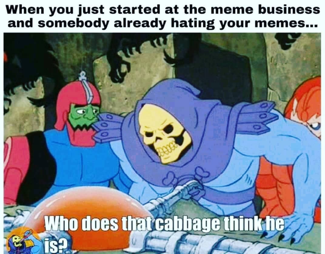 Cabbage - meme