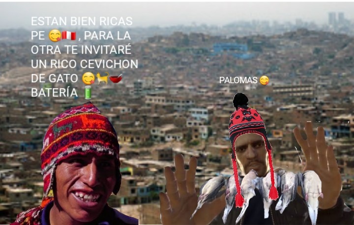 Niko Bellic peruano - meme