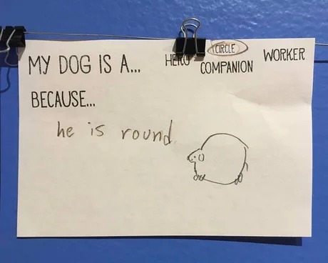 My dog is a circle - meme