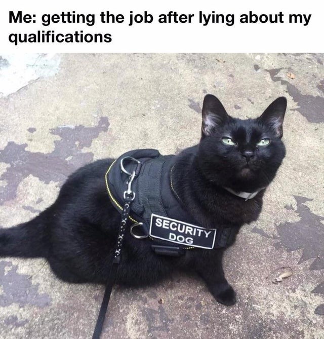 i,m unemployed anyway - meme