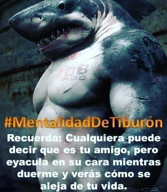 #MentalidadDeTiburón - meme