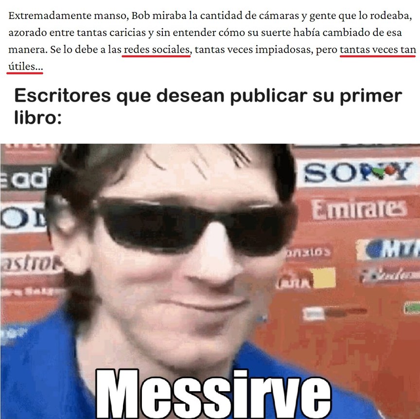 Si las redes sociales son "tantas veces tan útiles", ¿por qué no promocionar un nuevo libro a través de ellas? - meme