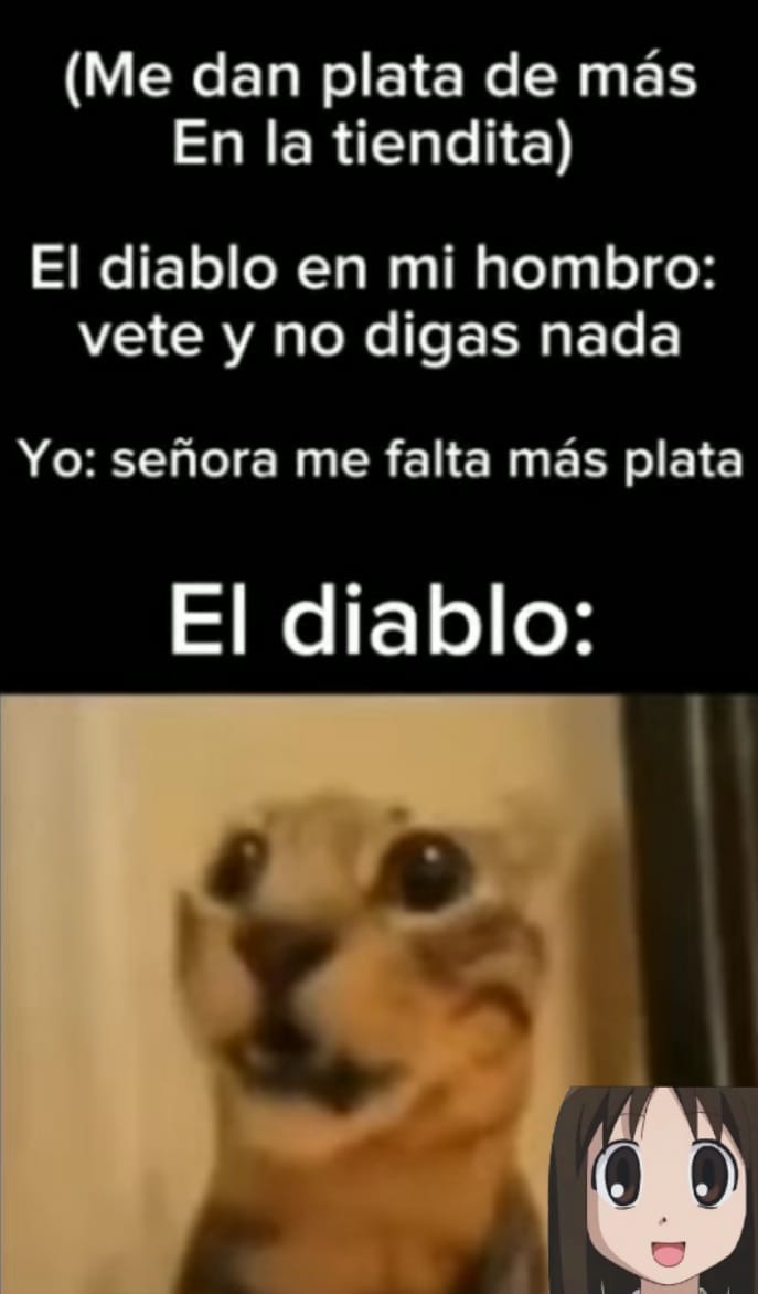 Top memes de Gato en español :) Memedroid