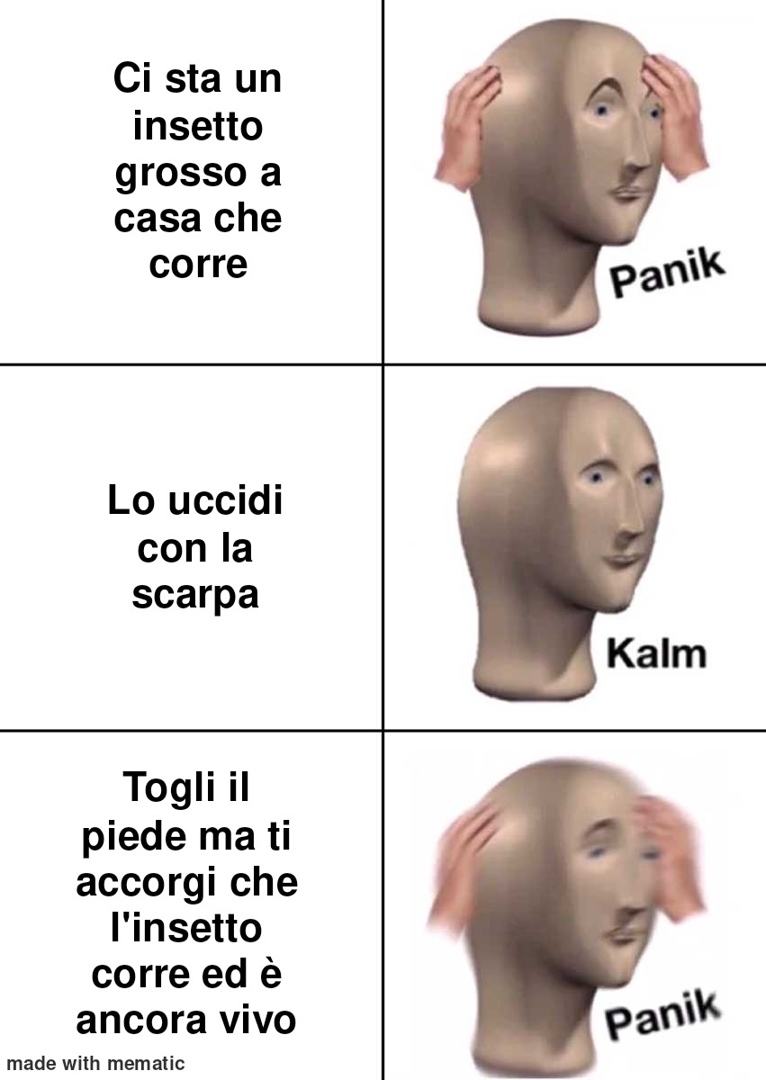 Insetto when it appears: - meme