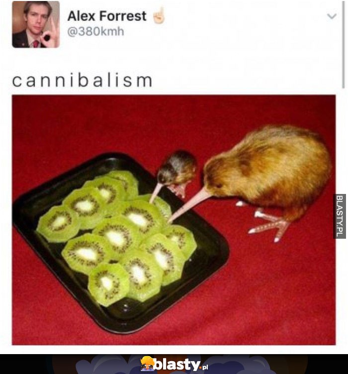 Kiwi Cannibalism - meme