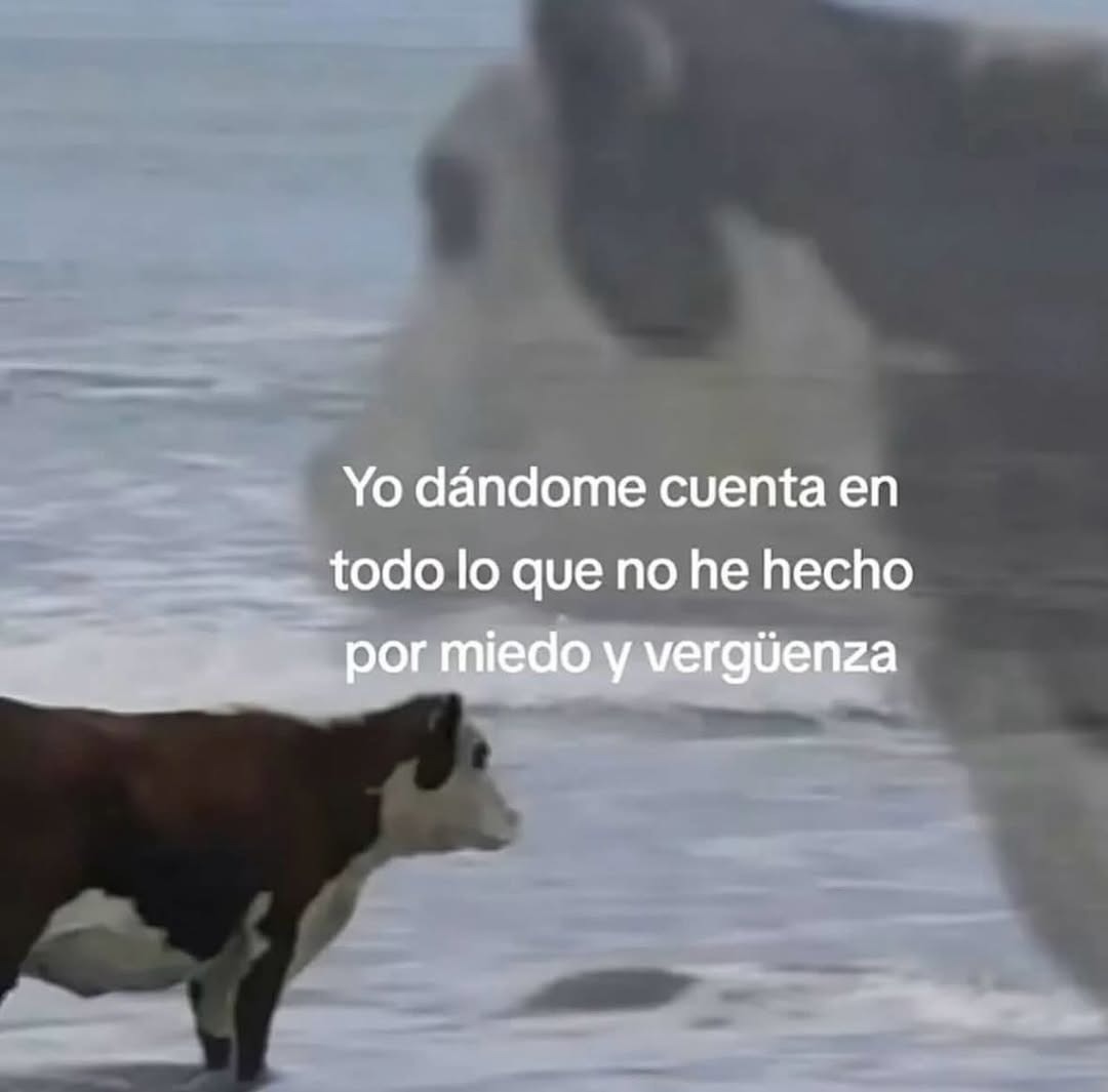 Pensando en todo lo que no hice por miedo y cringe - meme