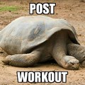 Post workout