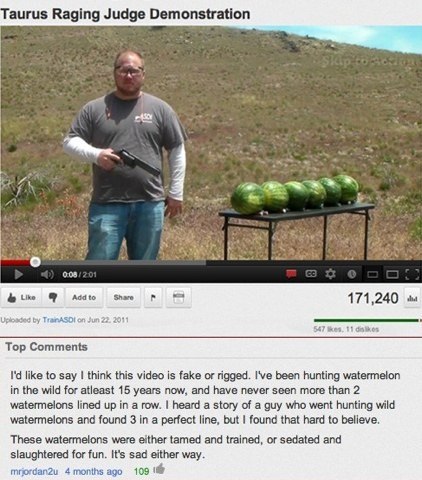 Watermelon Hunter - meme